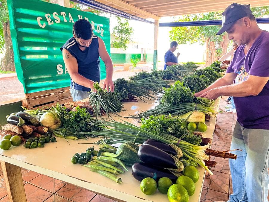Cesta Verde garante renda no campo e alimento para famílias de programas sociais