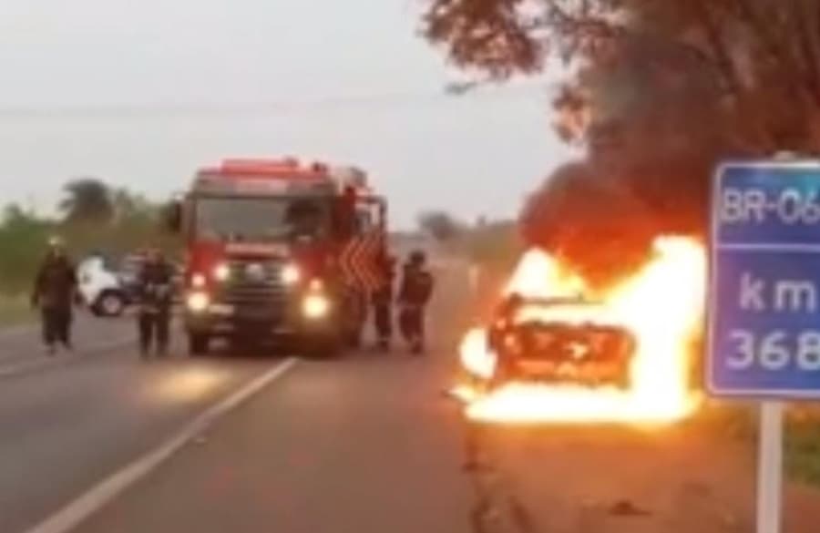Carro fica totalmente destruído após pegar fogo às margens da BR-060