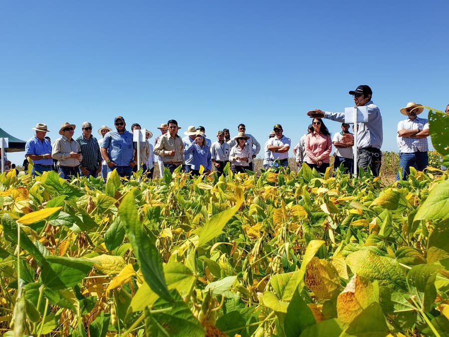 Fundação MS promove Dia de Campo em Maracaju com foco nos investimentos da 2ª safra 2026