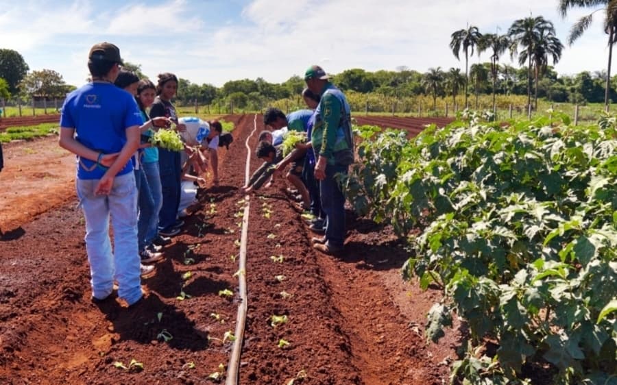Escola Agrícola Laurindo Stragliotto promove aprendizado prático sobre meio ambiente e sustentabilidade