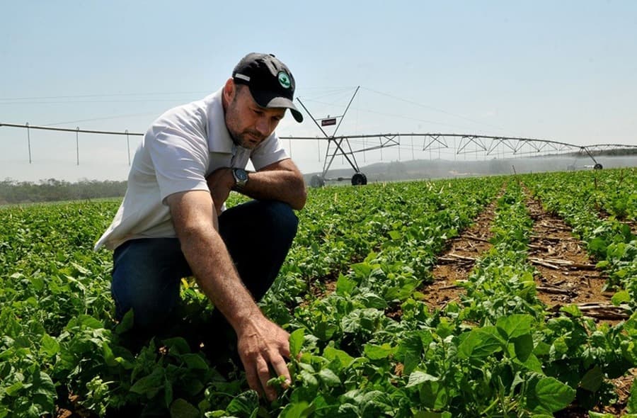 Em Maracaju, pesquisa da Fundação MS demonstra o papel da agricultura irrigada
