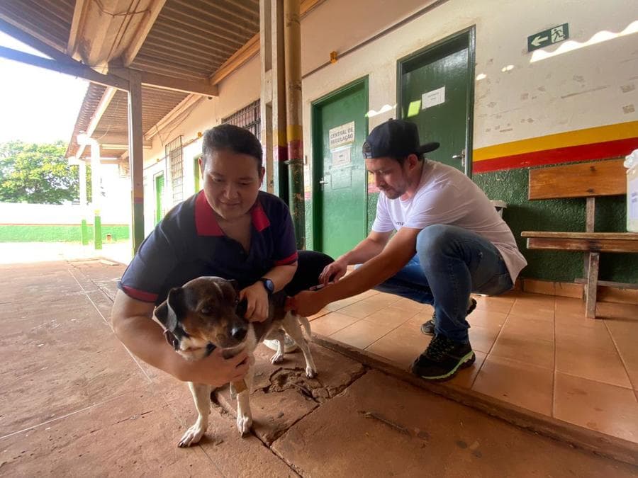 Com mais de 8 mil animais vacinados, Sidrolândia atinge meta de vacinação