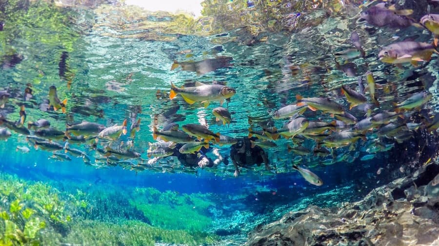 Bonito bate recorde de visitação e atinge o maior número de turistas em 6 anos