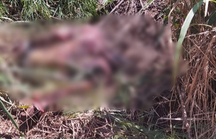 Corpo em estado de decomposição é encontrado em estrada na região do Quebra Coco
