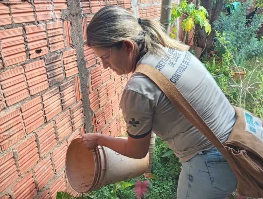 Dengue já tem 16 casos confirmados e Saúde pede apoio para eliminar foco