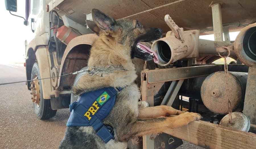 Em Sidrolândia, PRF realiza maior apreensão de cocaína da história