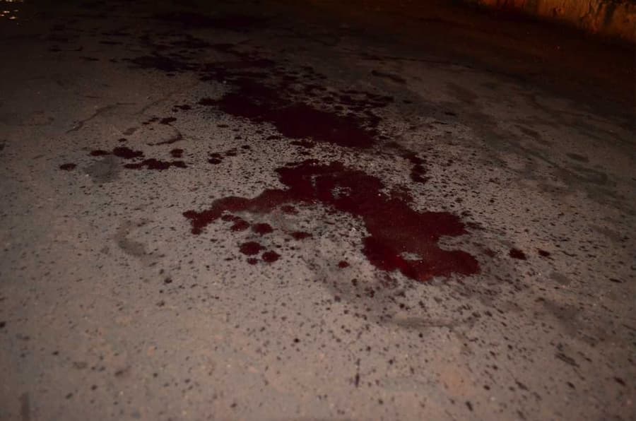 Caminhoneiro esfaqueia cachorro, é quase linchado por testemunhas e acaba preso