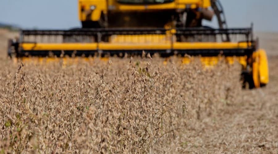 Com alta de 10,5%, MS deve produzir mais de 70 milhões de toneladas de produtos agrícolas