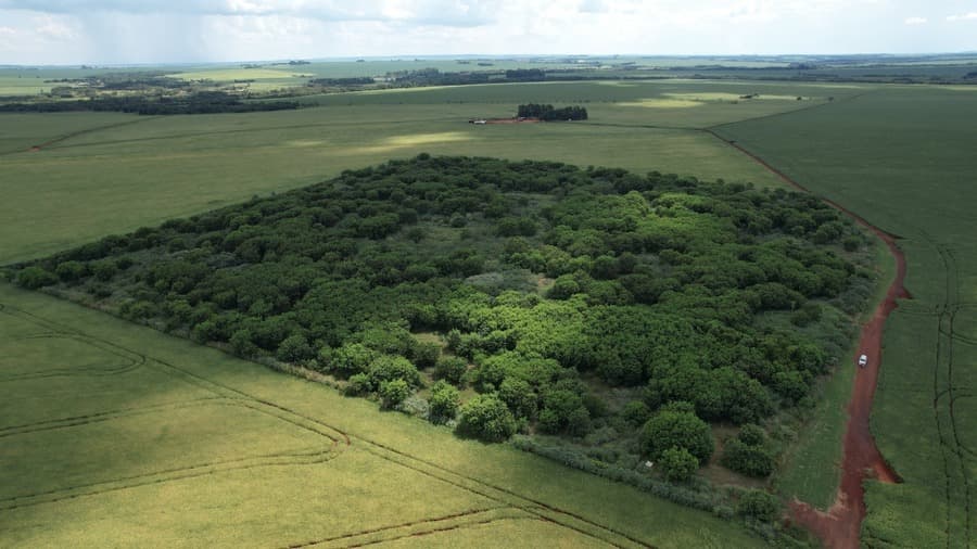 Prefeitura de Maracaju anuncia etapas e detalhes sobre o Licenciamento Ambiental Municipal