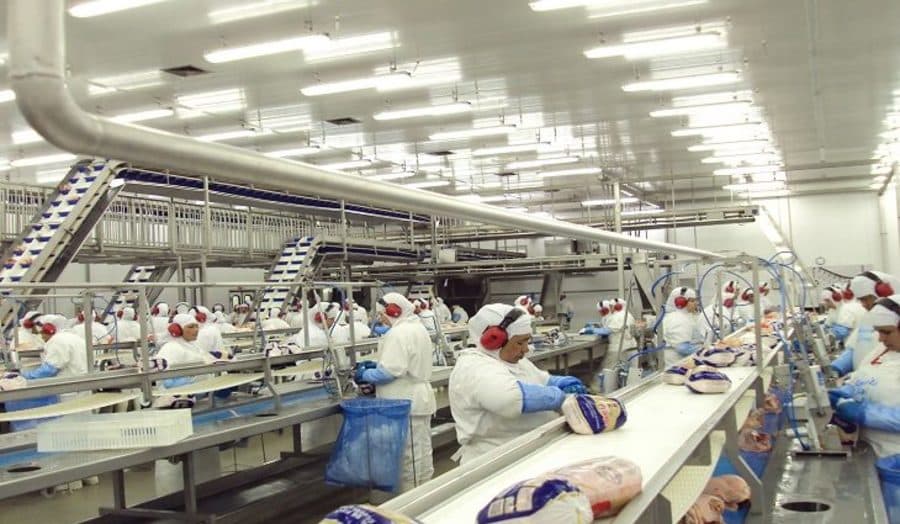 Japão anuncia fim do embargo às exportações de frango de MS