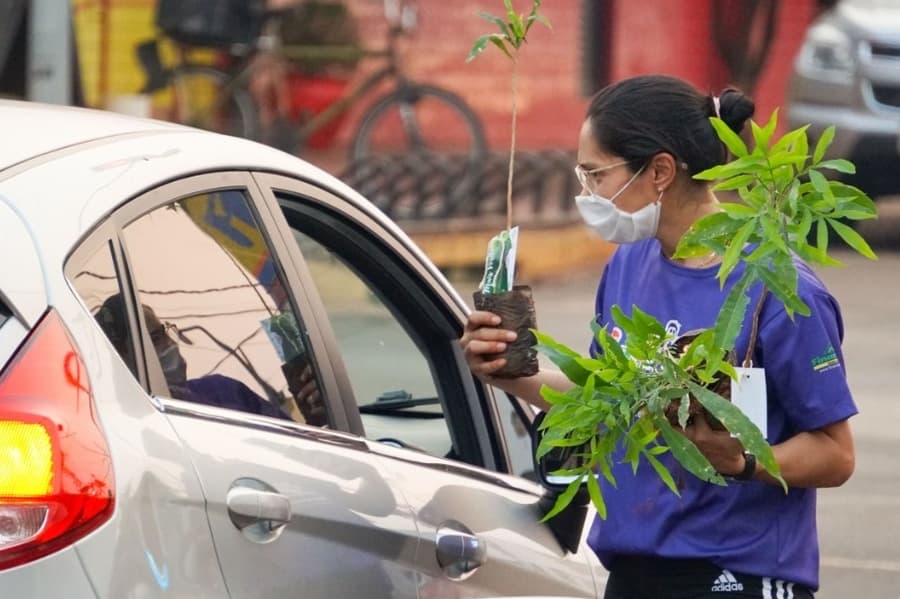 Conscientização: Instituto distribui mais de 300 mudas de árvores em Maracaju