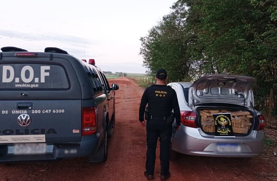 DOF apreende mais de 780 kg de maconha em área rural de Maracaju