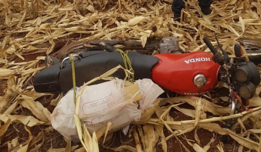 Pela segunda vez, Polícia Militar apreende drogas escondidas em milharal