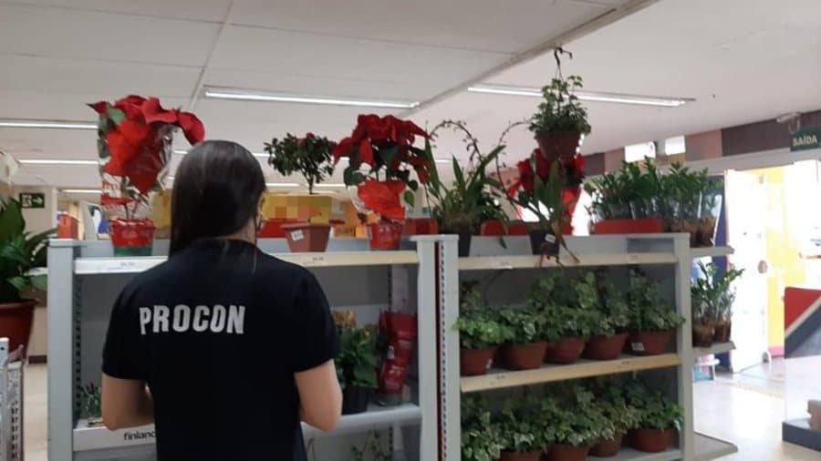 Procon Estadual encontra variação de até 500% em produtos para o Dia de Finados