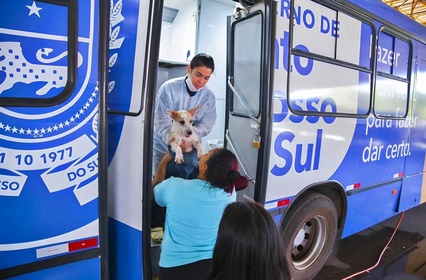Parceria da Prefeitura com o Governo de MS promove Caravana da Castração com 480 atendimentos em Sidrolândia