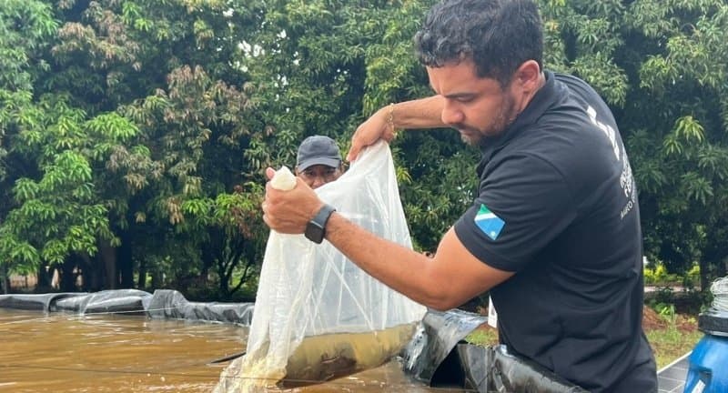 Tecnologia em piscicultura chega a Nioaque e incentiva produção no campo