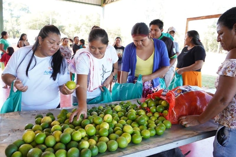 PAA avança em Nioaque com entregas e reforça renda no campo e alimentação das famílias