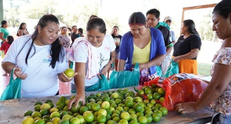 PAA avança em Nioaque com entregas e reforça renda no campo e alimentação das famílias