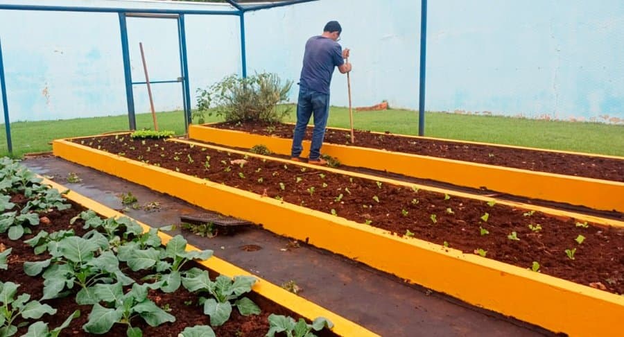 Semaa entrega mais de 800 mudas de hortaliças para fortalecer horta da APAE de Sidrolândia