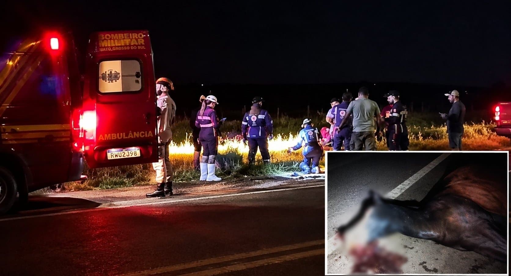 Fisioterapeuta fica ferido após carro bater em cavalo na BR-060 entre Sidrolândia e Campo Grande