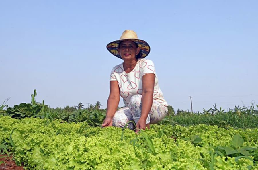 Agricultora de Sidrolândia é destaque na produção de alimentos para escolas estaduais