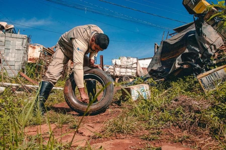 Boletim de saúde: MS já tem 6,5 mil casos de dengue confirmados neste ano