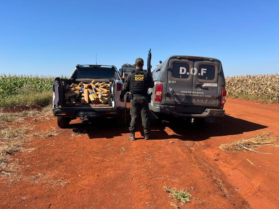 DOF apreende 270 quilos de maconha e recupera picape em Maracaju