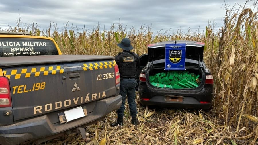 Carga de maconha avaliada em quase R$ 1 milhão é apreendida entre Maracaju e Sidrolândia