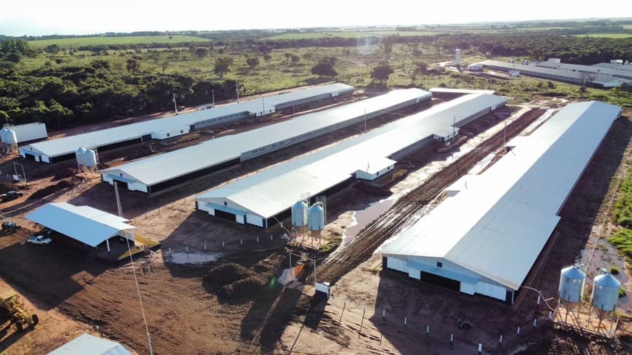Sidrolândia e mais três cidades terão R$ 44,5 milhões do FCO para investir em Avicultura
