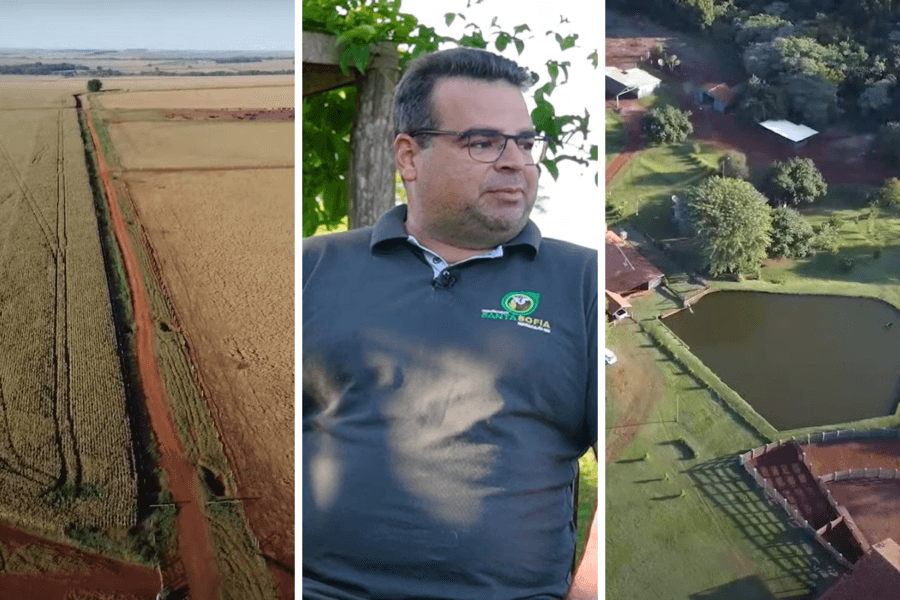 Em Maracaju, Fazenda Santa Sofia é referência na integração lavoura-pecuária