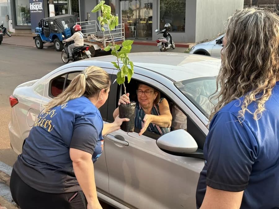 Em parceria com a Energisa, Instituto Pequeno Cidadão distribui mudas em comemoração ao Dia da Árvore