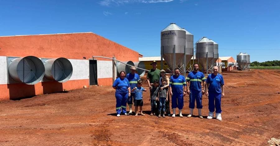 Alfa realiza primeiro alojamento de suínos em Sidrolândia e receberá 24 mil animais nos próximos meses