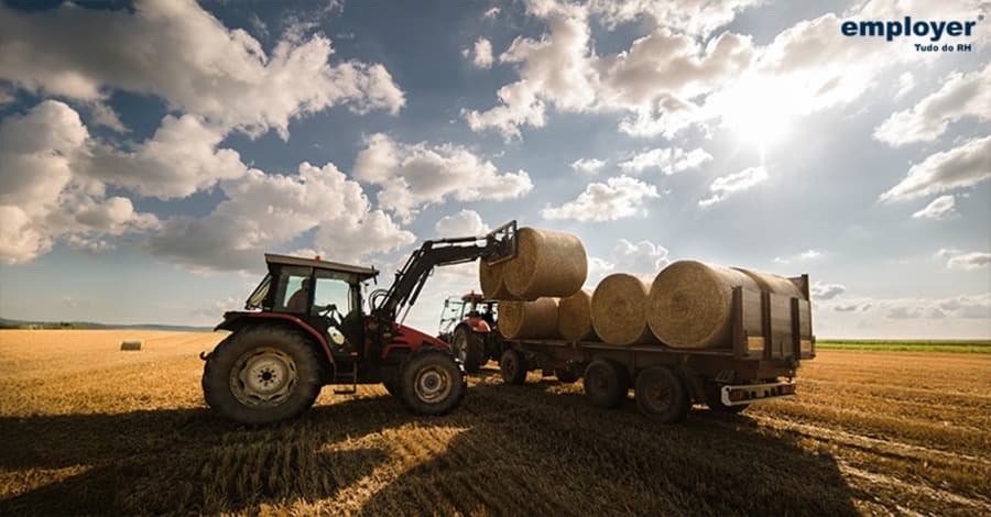 Maracaju tem vagas disponíveis no setor agrícola; inscrições vão até segunda-feira