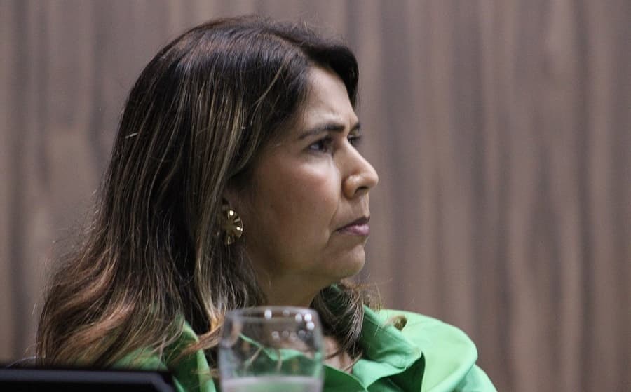 Vereadora Carol Terra solicita regulamentação e fiscalização da Lei que proíbe queima de fogos
