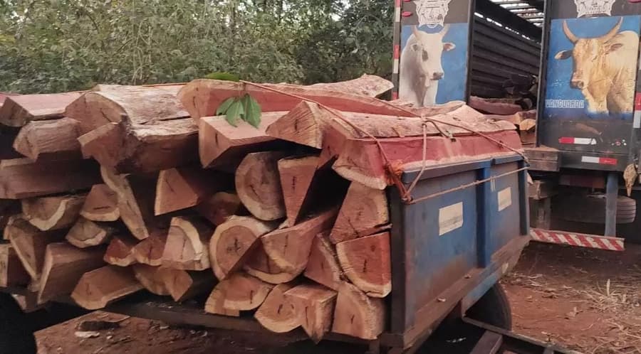 PMA flagra desmatamento ilegal em área de reserva em Sidrolândia e prende seis homens