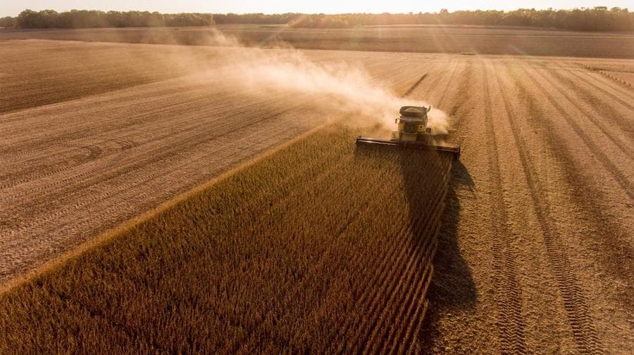 Após quase 20 anos, Maracaju perde posição de maior produtora de soja de MS
