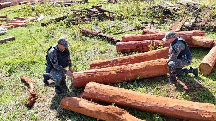PMA multa homem de 48 anos por exploração ilegal de madeira em reserva legal de Maracaju