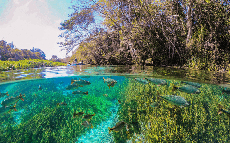 Prefeitura de Bonito confirma: Turistas terão que pagar taxa de R$ 15 por dia de permanência na cidade