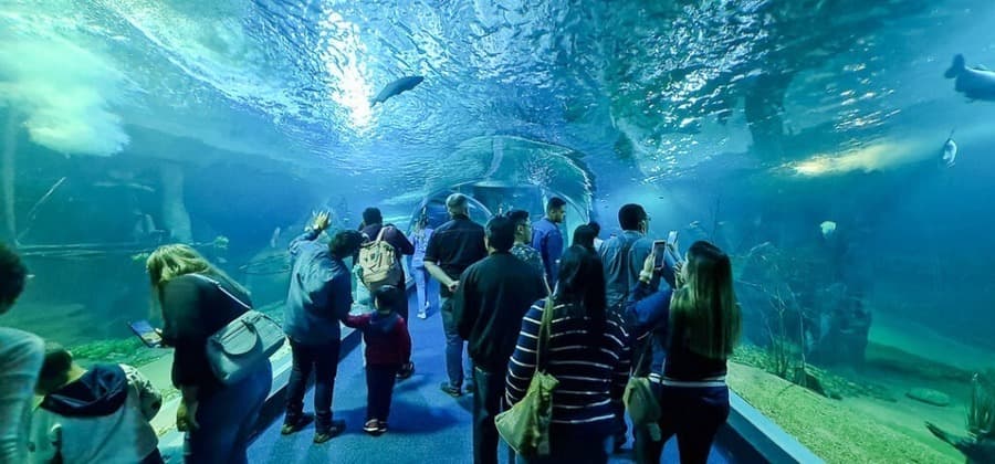Bioparque Pantanal recebe selo internacional “ouro” por sustentabilidade e se destaca entre atrativos turísticos mundiais