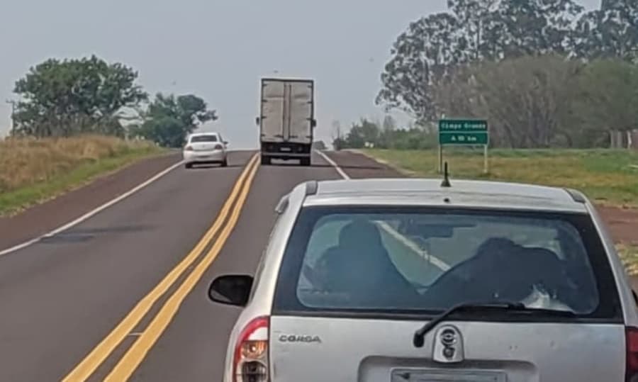 Em alta velocidade, motoristas desrespeitam sinalização e desafiam a morte na BR-060