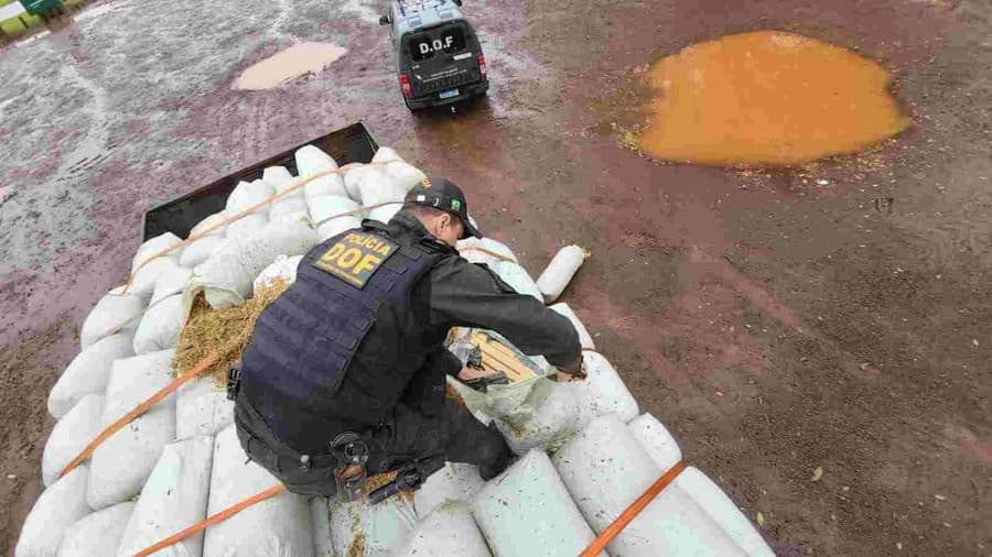 DOF prende motorista e apreende mais de 3 toneladas de maconha em Sidrolândia