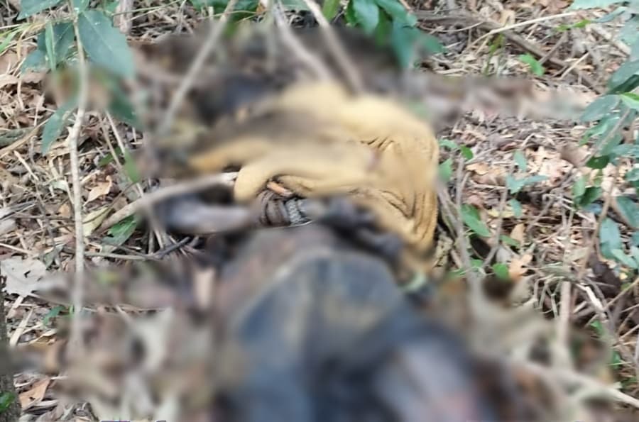 Corpo de homem com mãos amarradas é encontrado na região do Quebra Coco