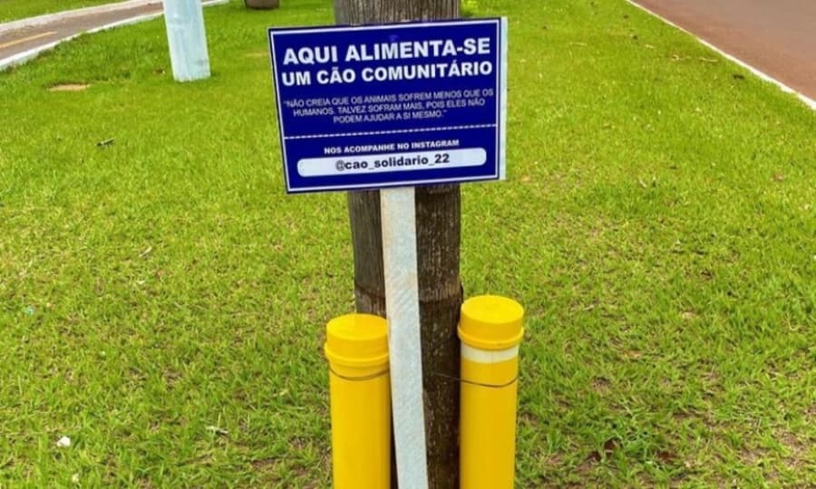Em Sidrolândia, “Cão Solidário” instala comedouro e bebedouro para animais de rua