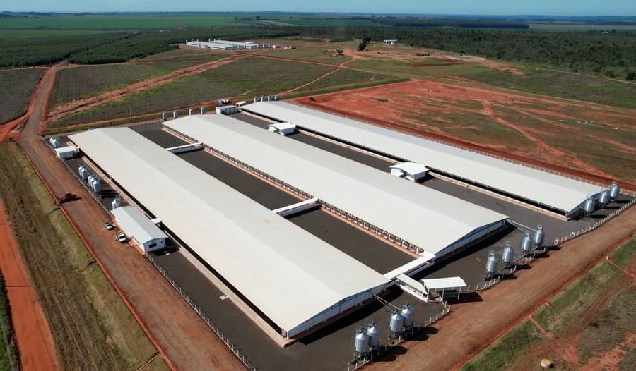 Unidade de Produção de Leitões de Sidrolândia será inaugurada nesta quarta-feira
