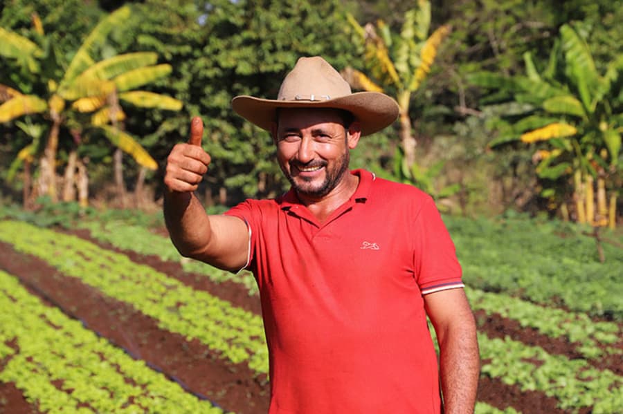 Produtor de hortaliças em Maracaju, Sérgio comemora crescimento, “o trabalho devolve”