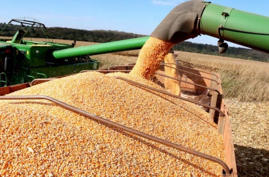 Produção agrícola de MS deve superar 72 milhões de toneladas com renda acima dos R$ 52 bi