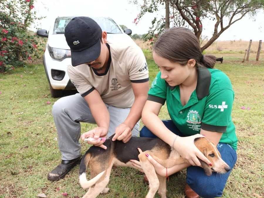Secretaria de Saúde anuncia datas da vacinação antirrábica em Sidrolândia