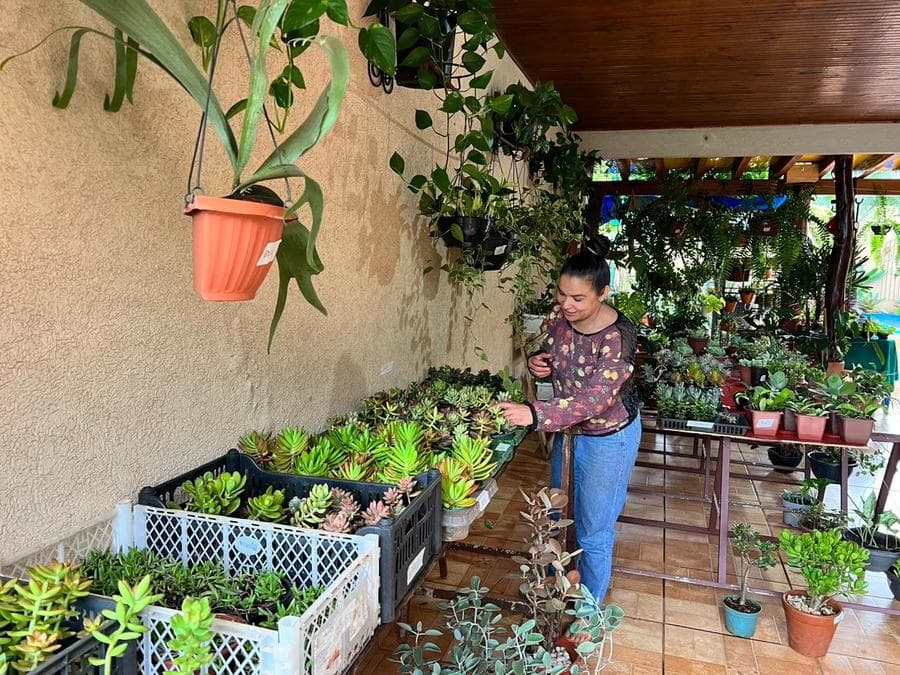 Hobby que virou profissão: Criadora de plantas realiza feira em Maracaju
