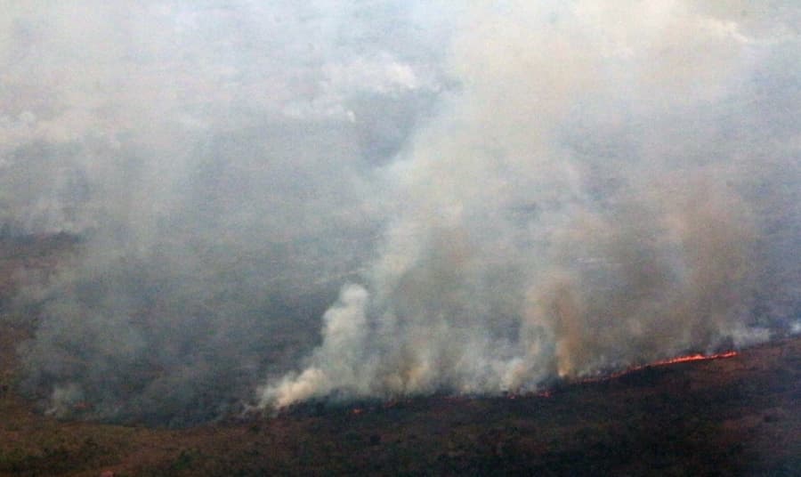 Empresa é atuada em 364 mil por incêndio em plantação de cana e área protegida