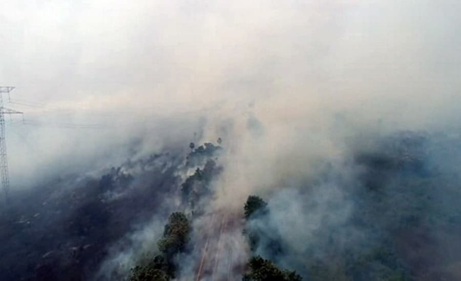 Fumaça força interdição de trecho da BR-262 depois de acidente com morte